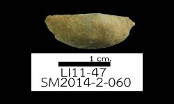 N/A (Brachiopod)