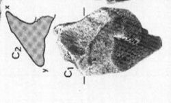 N/A