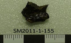 Ferganoceratodus mar