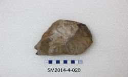 N/A (Trace fossil)