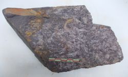 N/A