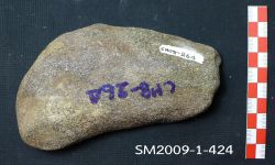 N/A (ไดโนเสาร์)