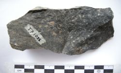 Pseudofusulina kraffti