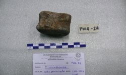 ภูเวียงโกซอรัส สิรินธรเน