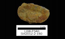 N/A (Brachiopod)